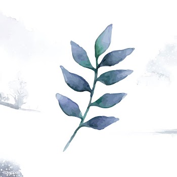 European ash leaf painted in watercolor vecto.. | Free stock vector - 489241
