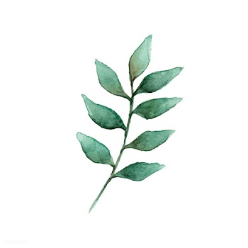 European ash leaf painted in watercolor vecto.. | Free stock vector - 489295