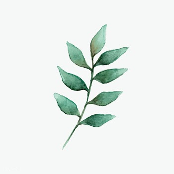 European ash leaf painted in watercolor vecto.. | Free stock vector - 489321