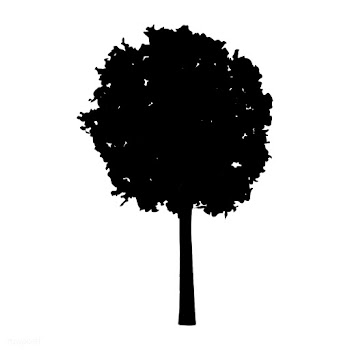 European ash tree silhouette on white backgro.. | Free stock vector - 488633