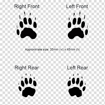 European badger Animal track Paw, king of animals transparent background PNG clipart