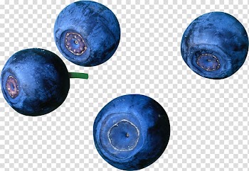 European blueberry Fruit, Blueberries transparent background PNG clipart