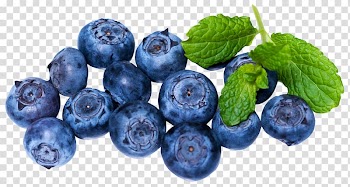 European blueberry Juice Fruit, Blueberries transparent background PNG clipart