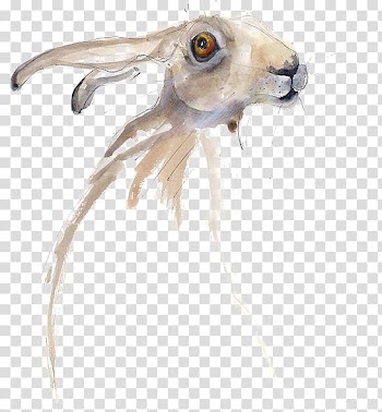 European hare Rabbit March Hare Watercolor painting Illustration, Rabbits ostrich transparent background PNG clipart