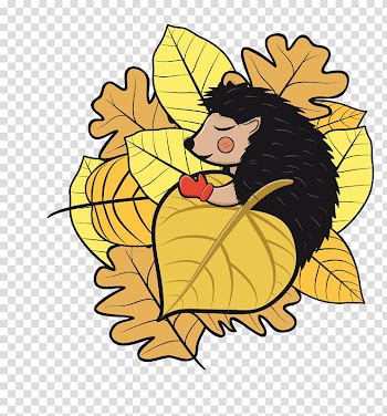 European Hedgehog Hibernation , sketch transparent background PNG clipart