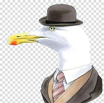 European Herring Gull Bird Common gull Animal Illustration, Hand-painted animals transparent background PNG clipart