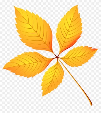 European Horse-chestnut Leaf Tree Crown Birch - European Horse-chestnut Leaf Tree Crown Birch