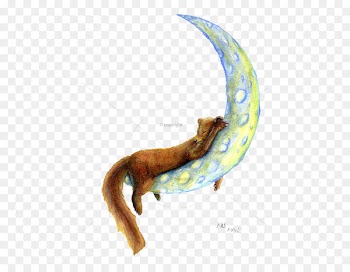 European pine marten Watercolour Pencils Drawings and Paintings Watercolor painting - painting 