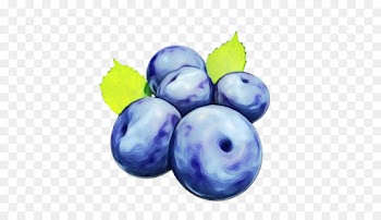european plum fruit blueberry berry plant