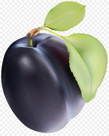 european plum fruit plant food leaf