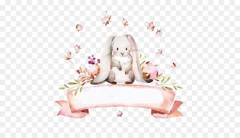 European rabbit - Small fresh rabbit 