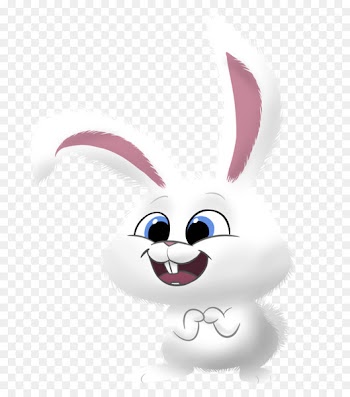 European rabbit Snowball Easter Bunny Domestic rabbit - rabbit 