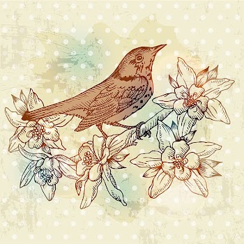 European retro bird and flower painting002 transparent background PNG clipart