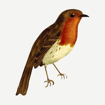 European robin bird drawing, vintage | Free PSD - rawpixel