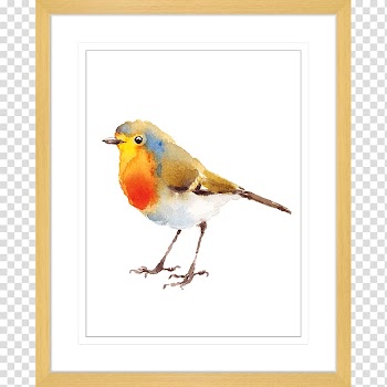 European robin Bird Watercolor painting Drawing, tree-bird transparent background PNG clipart