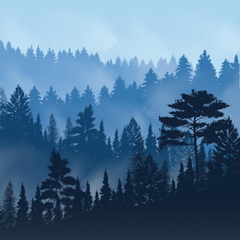 Evening fog over tops of trees of pine forest Free Vector