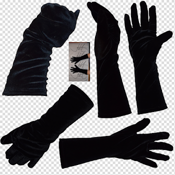 Evening Gloves PNG Download Image