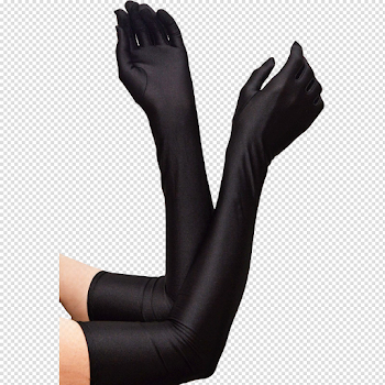 Evening Gloves PNG High-Quality Image