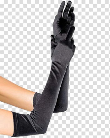 Evening Gloves PNG Image