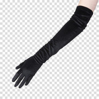 Evening Gloves PNG Picture