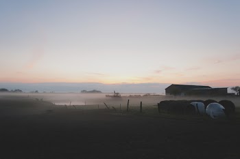 Evening mist