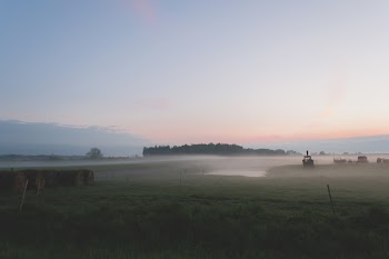 Evening mist 3