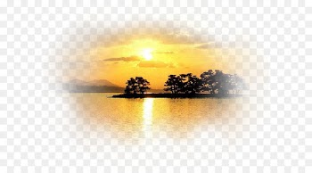 Evening Quotation Good Morning - quotation 