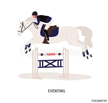 Eventing, equestrian competition flat vector illustration