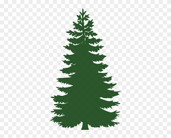 Evergreen Clip Art - Green Pine Tree Silhouette