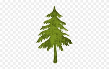 Evergreen Or Fir Tree 2 Icon - Pine Tree Icon Png