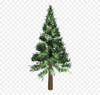 Evergreen Tree 10, Buy Clip Art - Evergreen Tree Transparent