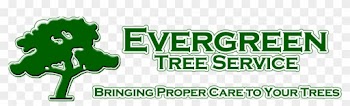 Evergreen Tree Service Mobile Alabama - Evergreen Tree Service