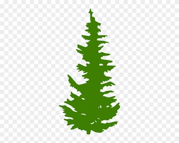 Evergreen Tree Silhouette