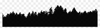 Evergreen Treeline With Transparent Background - Forest Tree Line ...