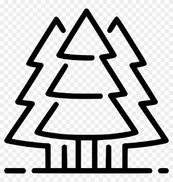 Evergreen Trees Comments - Tree