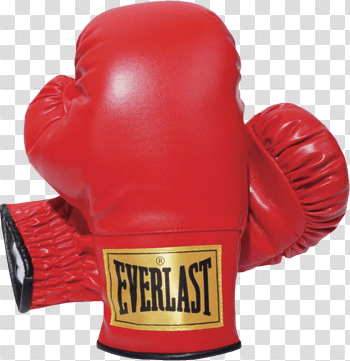Everlast Boxing Gloves transparent PNG - StickPNG