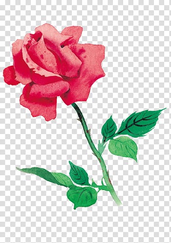 Every Rose Has Its Thorn, red and green rose painting transparent background PNG clipart