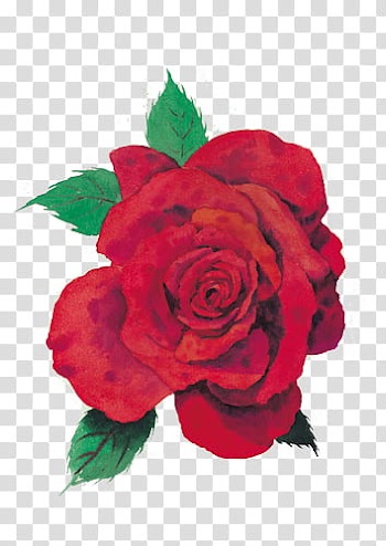 Every Rose Has Its Thorn, red rose illustration transparent background PNG clipart