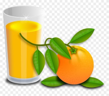 Everyday Food - Orange