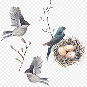 Everyday Grace: 60 Devotions Jesus Calling: Devotions for Every Day of the Year Bible Daily devotional Blessing - Vector nest eggs 