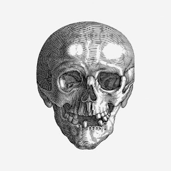 Evil skull hand drawn illustration. | Free Photo - rawpixel
