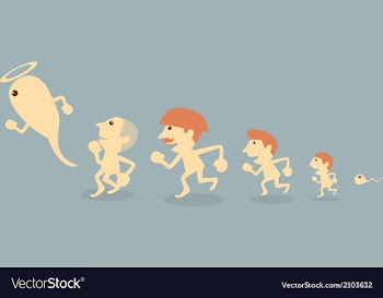  					Evolution vector image														