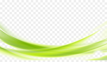 Excelent Green Wallpaper – Green Background Transparent Background ...