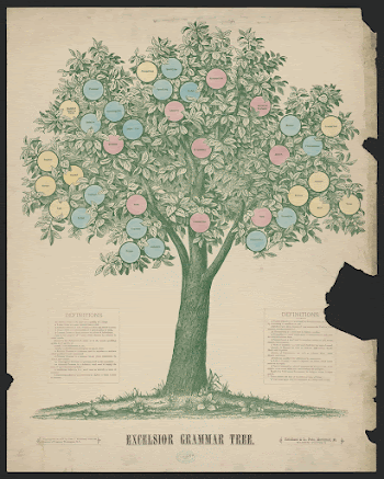 Excelsior grammar tree | Free Photo - rawpixel