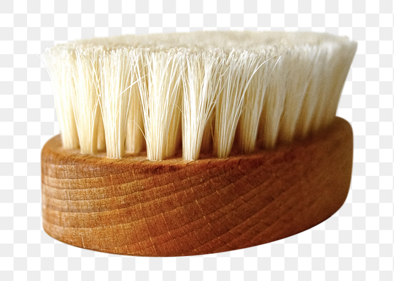 Exfoliating brush png sticker, transparent | Free PNG - rawpixel