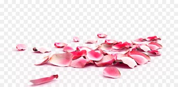 Exfoliation Skin Callus Foot Rose - Purple petals falling material element 