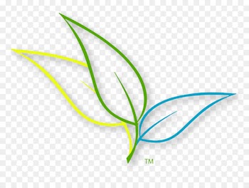 Exfoliation, Skin Care, Soap, Leaf, Plant PNG