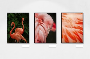 Exhibition photo frame  editable | Free PSD Mockup - rawpixel