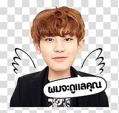 EXO EXO Next Door Line transparent background PNG clipart