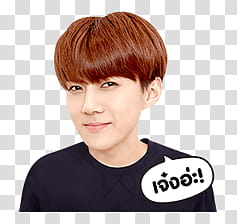EXO EXO Next Door Line transparent background PNG clipart